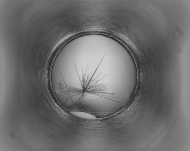 X0000112981356200908270909