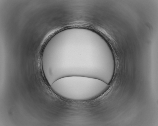 X0000112981358200908270909