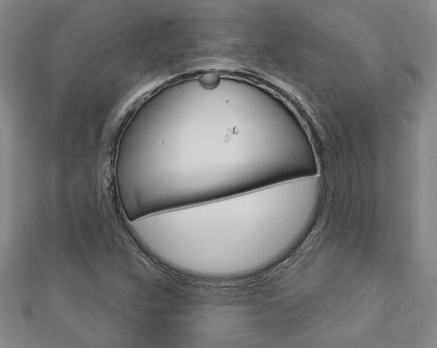 X0000112981359200908270909