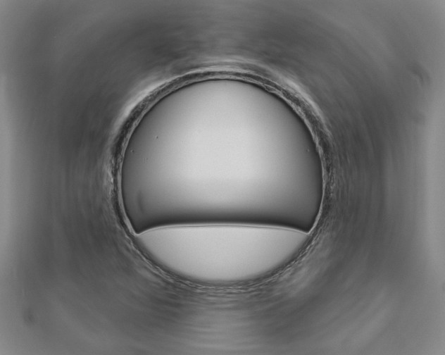 X0000112981360200908270909