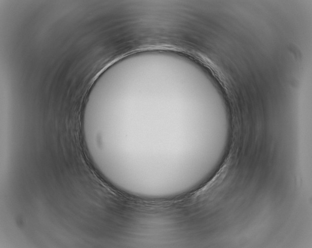 X0000112981361200908270909