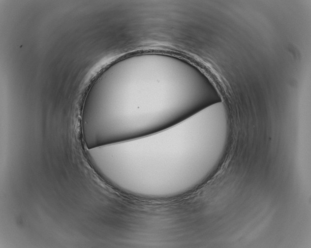 X0000112981363200908270909