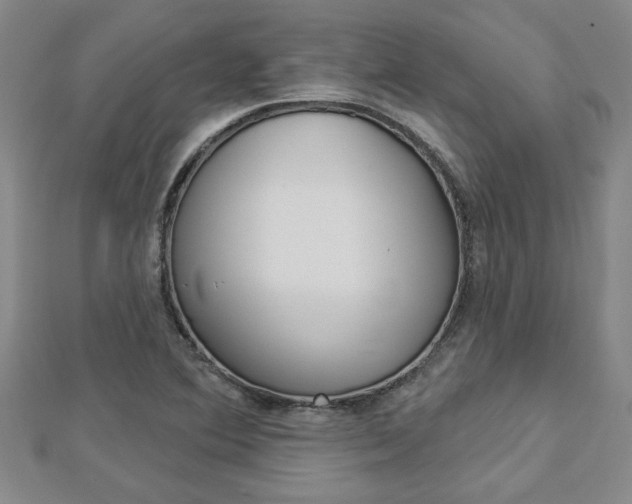 X0000112981364200908270909
