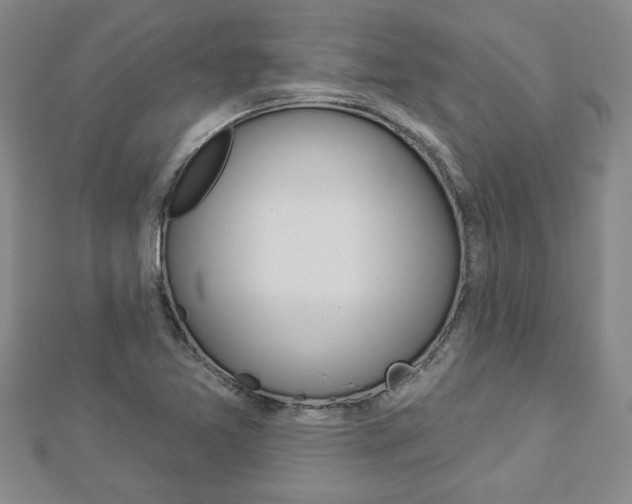 X0000112981365200908270909