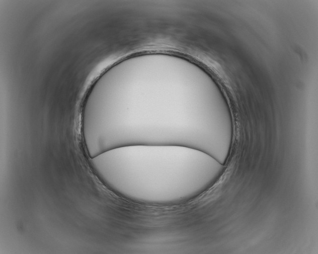 X0000112981366200908270909