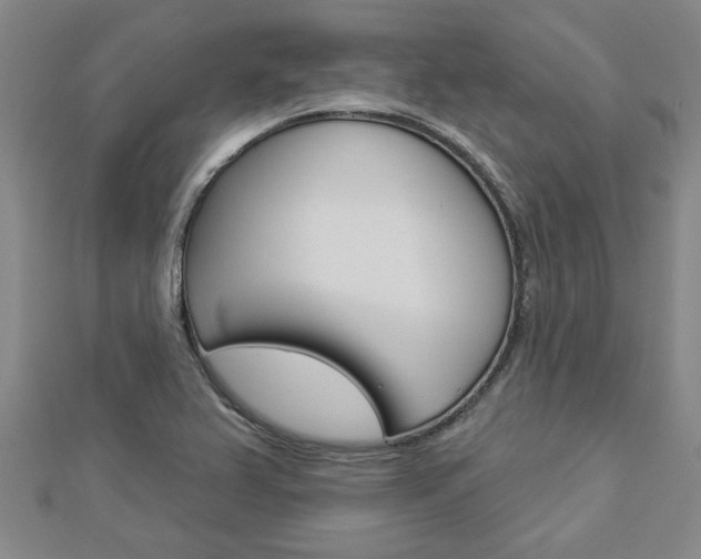 X0000112981367200908270909