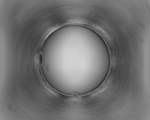 X0000112981369200908270909