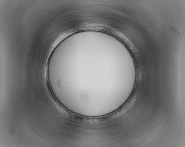 X0000112981370200908270909
