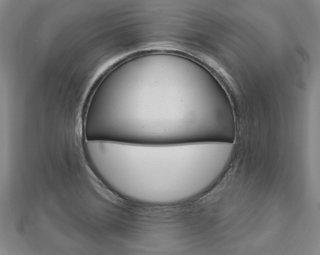 X0000112981372200908270909
