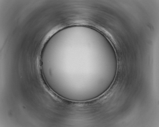 X0000112981373200908270909