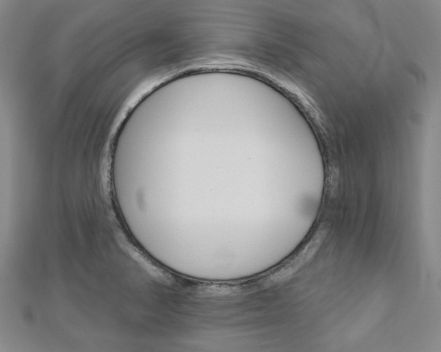 X0000112981374200908270909