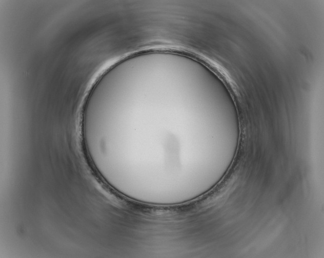 X0000112981375200908270909