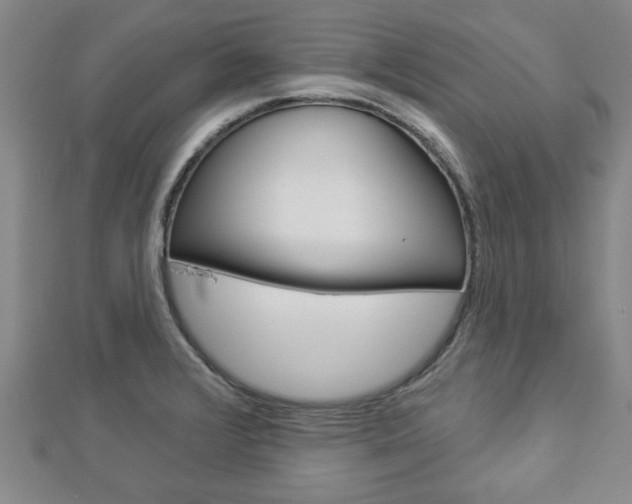 X0000112981376200908270909