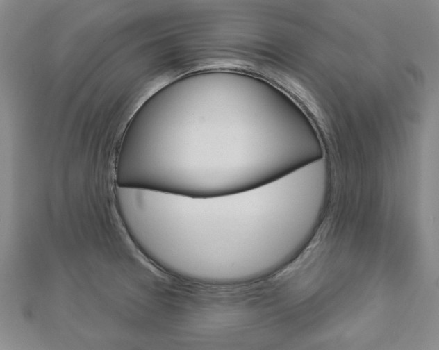 X0000112981377200908270909