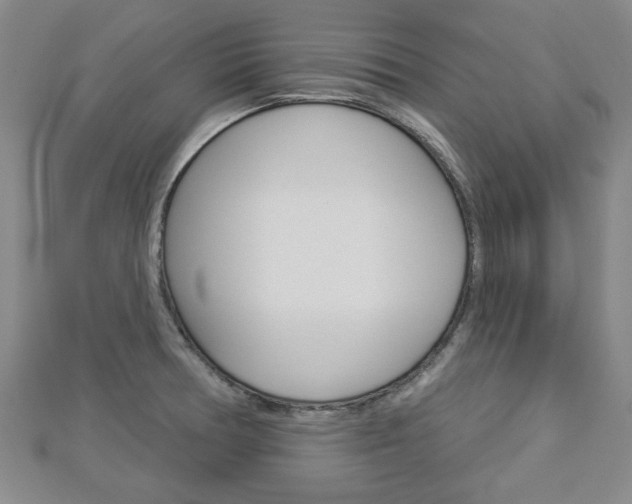 X0000112981378200908270909