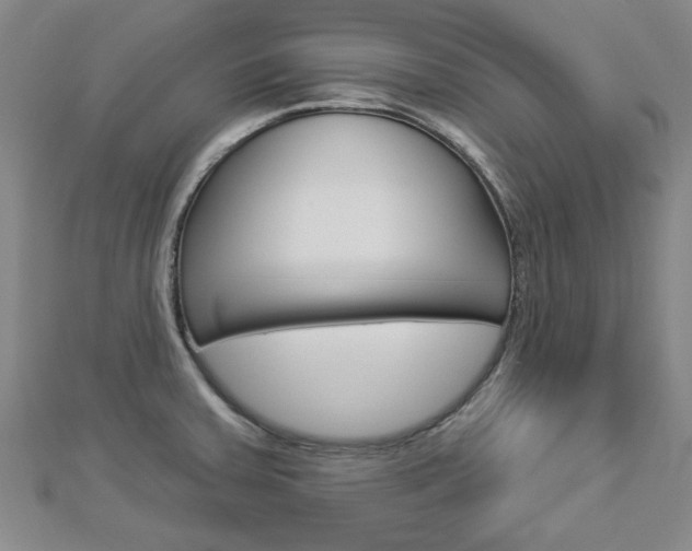 X0000112981379200908270909