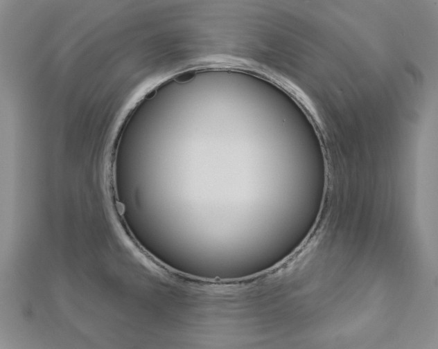 X0000112981381200908270909