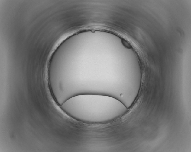 X0000112981382200908270909