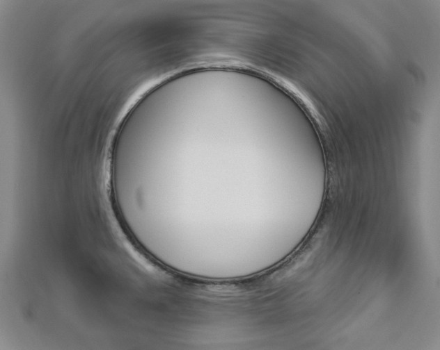 X0000112981383200908270909