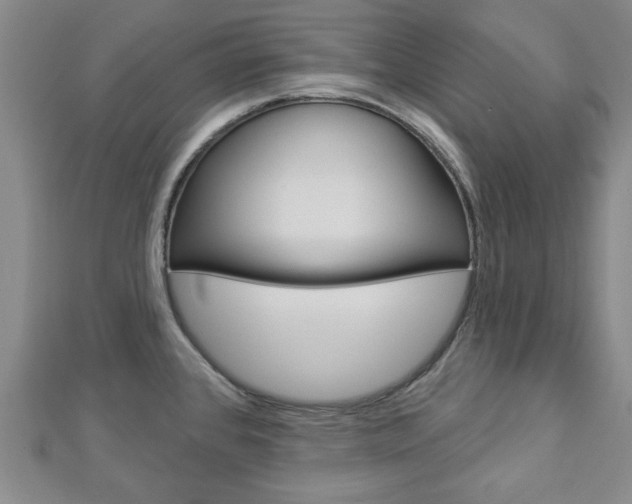 X0000112981384200908270909