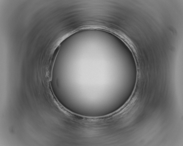 X0000112981385200908270909