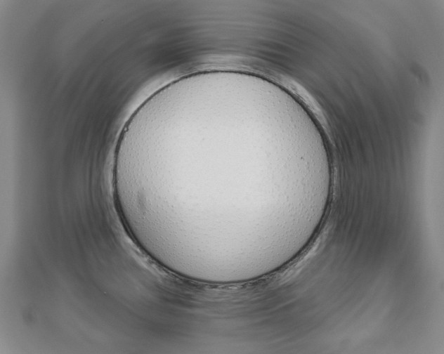X0000112981386200908270909