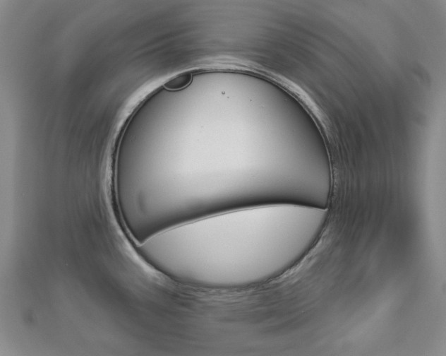 X0000112981387200908270909