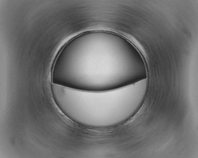 X0000112981388200908270909