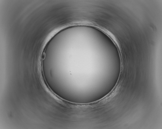 X0000112981389200908270909