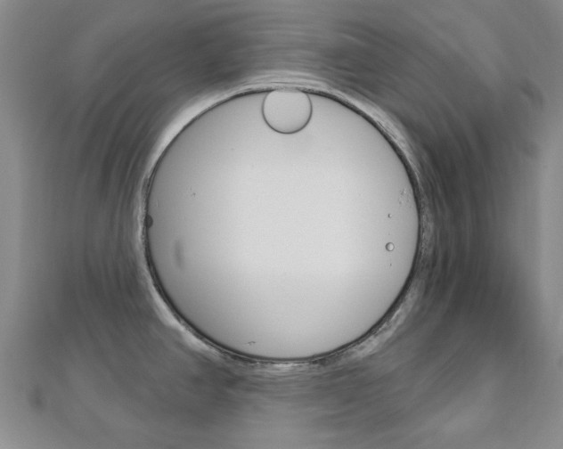 X0000112981390200908270909