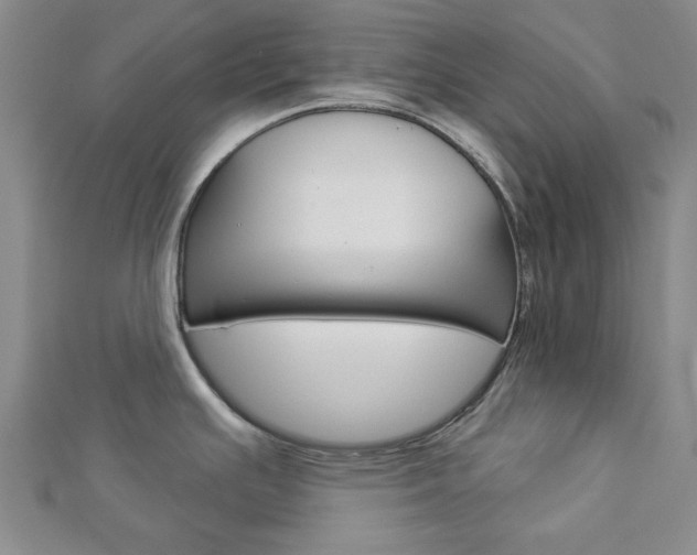 X0000112981391200908270909