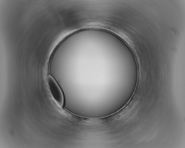 X0000112981392200908270909