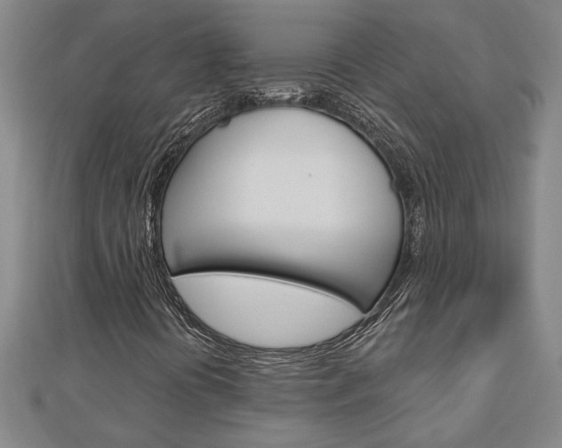 X0000112981394200908270908