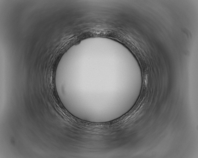 X0000112981396200908270908