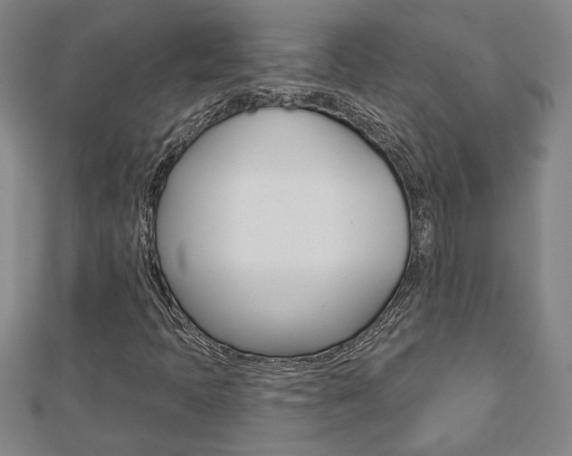 X0000112981397200908270908