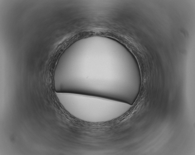 X0000112981398200908270908