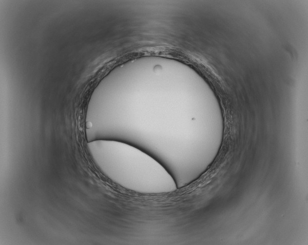 X0000112981399200908270908