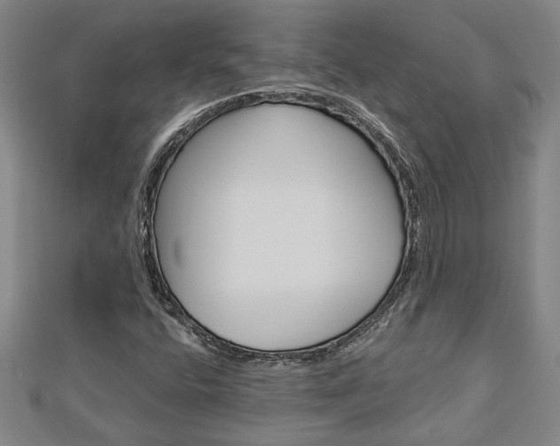 X0000112981400200908270908