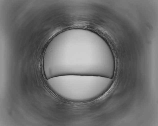 X0000112981401200908270908