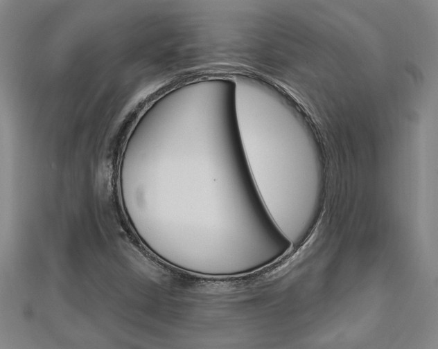 X0000112981402200908270908