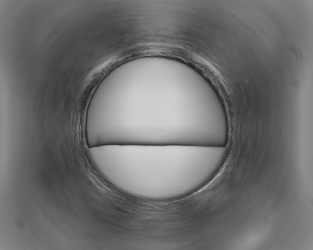X0000112981403200908270908