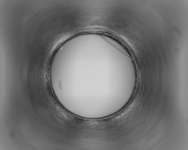 X0000112981405200908270908