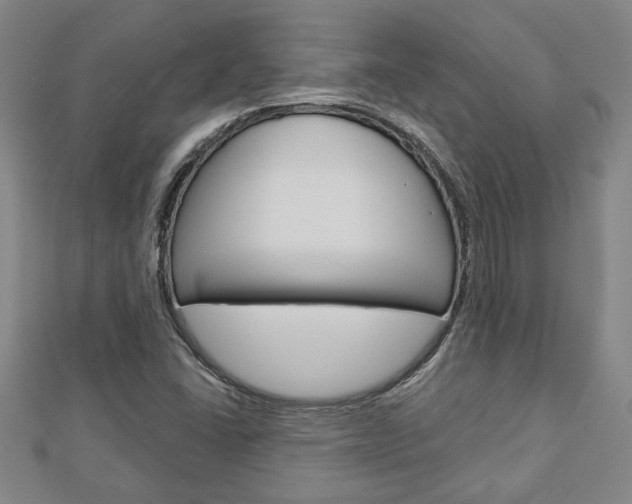 X0000112981406200908270908