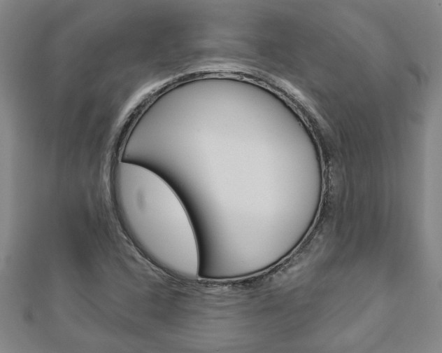 X0000112981408200908270908