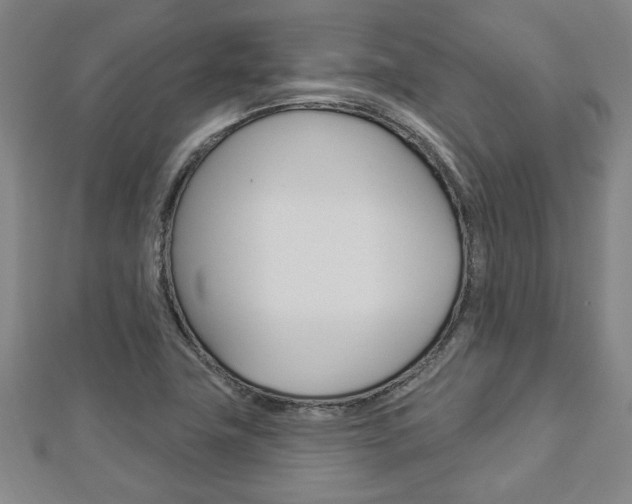 X0000112981411200908270908