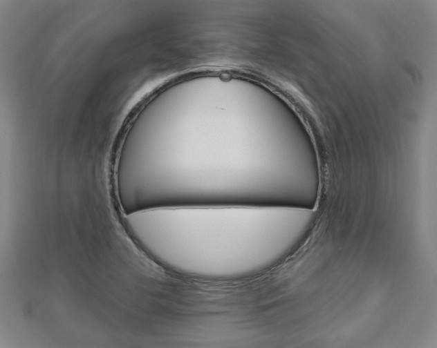 X0000112981412200908270908