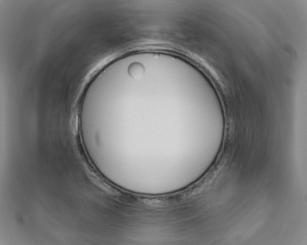 X0000112981413200908270908