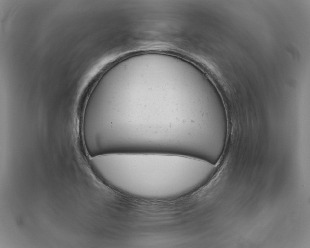 X0000112981414200908270908