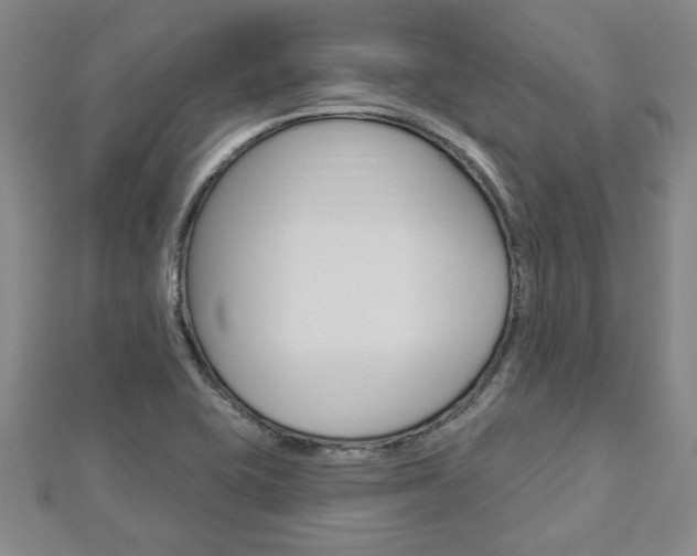 X0000112981415200908270909
