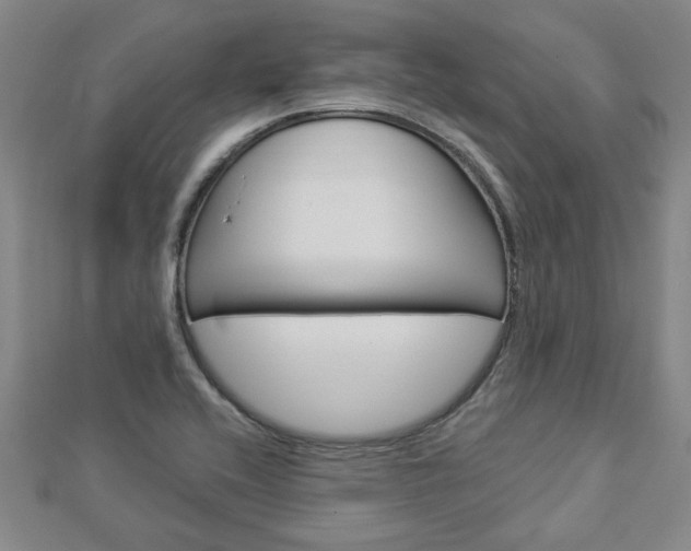 X0000112981416200908270909